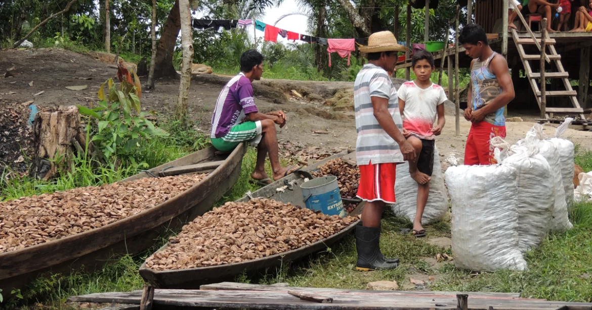 Cooperativa financeira apresenta ações que conectam desenvolvimento sustentável e cidadania financeira durante COP30