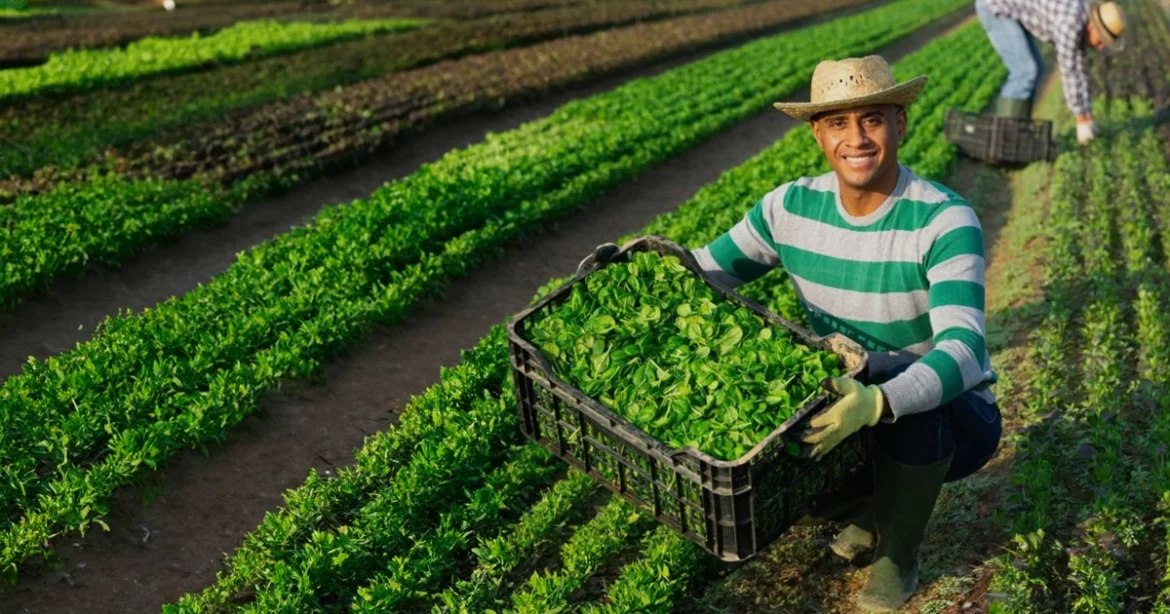o futuro das cooperativas agro em jogo