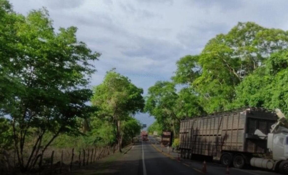 Colisão frontal entre caminhões deixa motorista morto na BR-153 | G5News