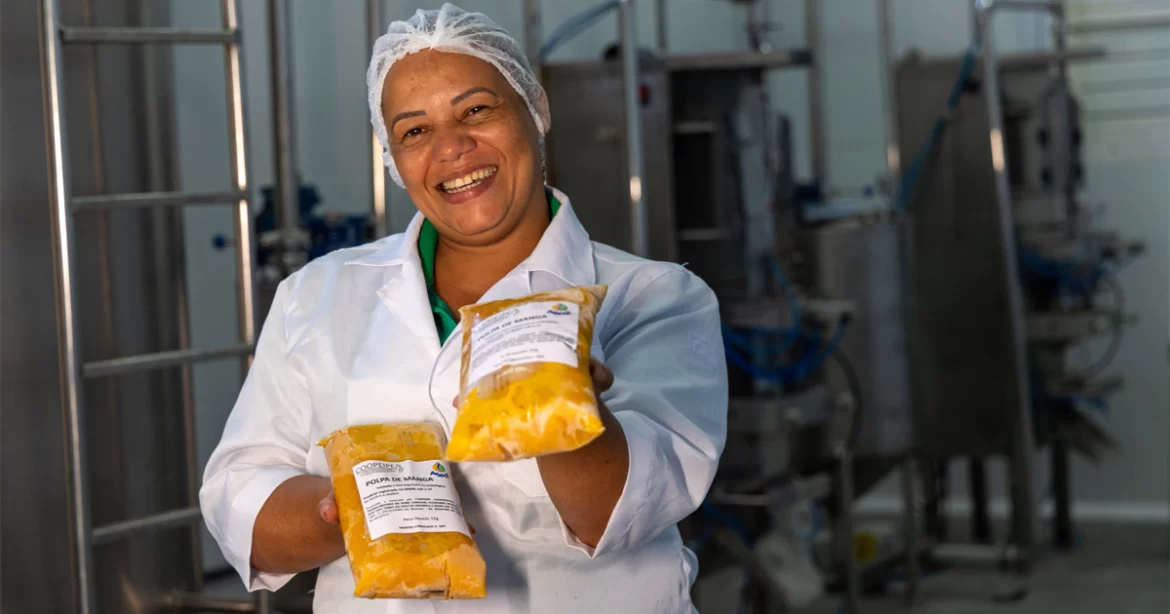 Com maioria feminina, cooperativas combatem a fome e levam comida sem agrotóxicos ao Ceará