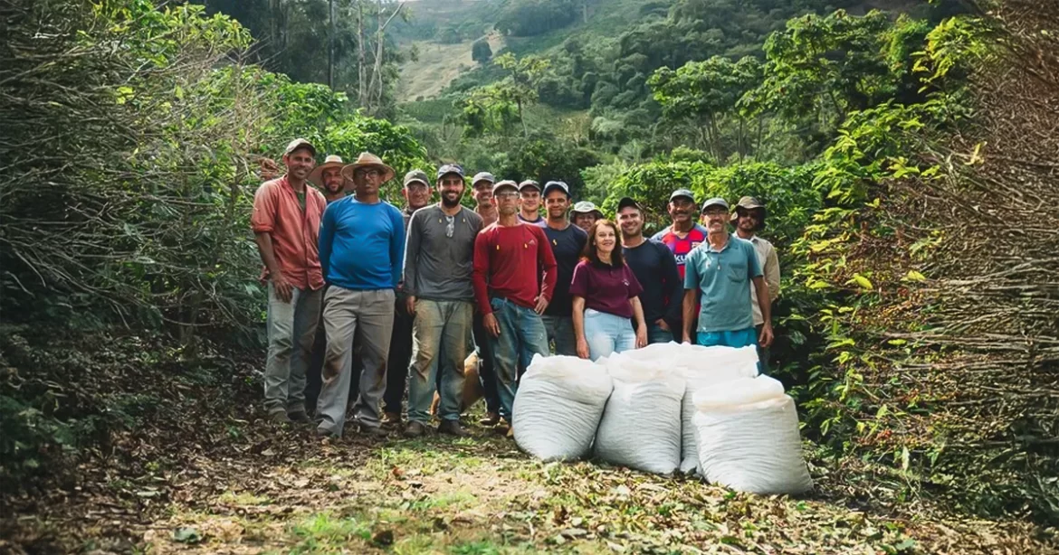 Cooperativismo brasileiro é destaque em prêmios nacionais e internacionais de sustentabilidade