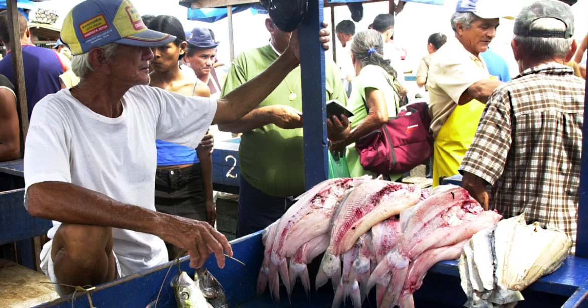 Iniciativa prepara cooperativas amazônicas para mercados da sociobiodiversidade