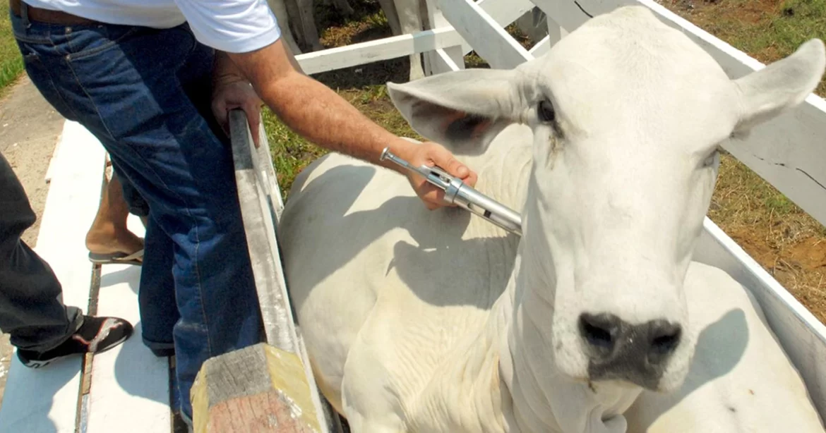 Ministério propõe ‘SUS’ da assistência técnica e da extensão rural