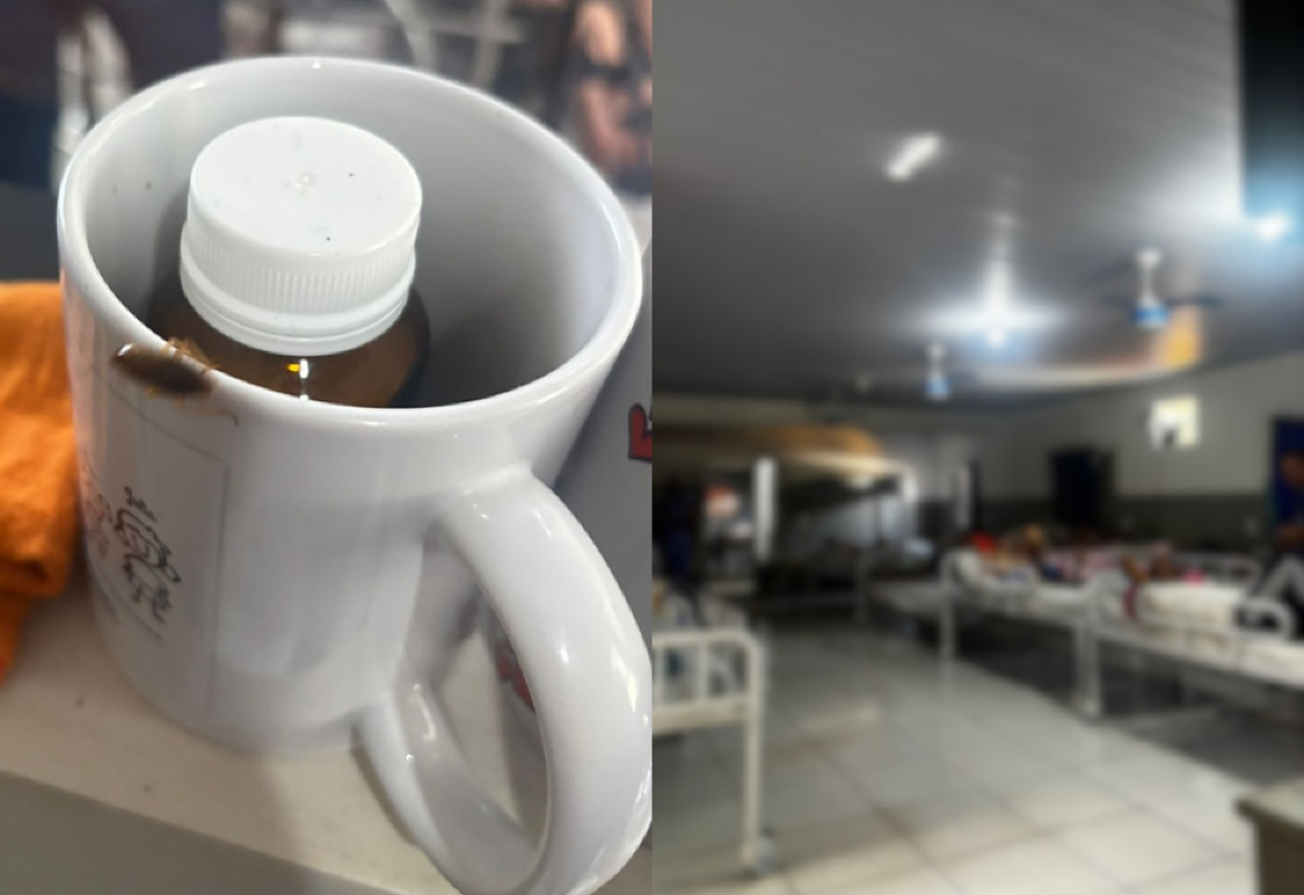 PC encontra abrigo com baratas, superlotação e sinais de maus-tratos em Goiânia | G5News