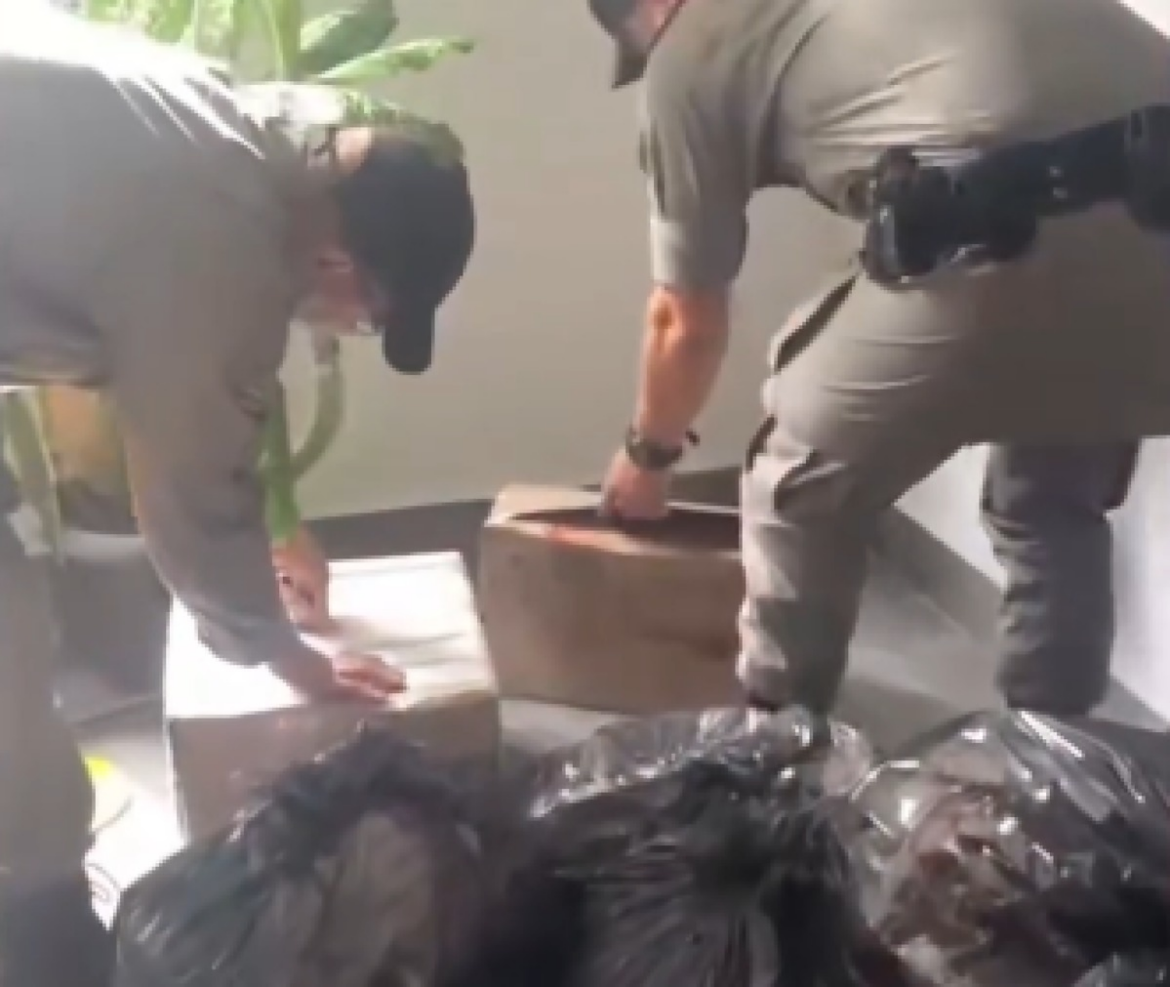 Polícia prende traficante com R$200 mil em maconha após perseguição | G5News