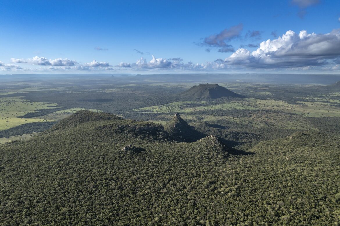 SOS PANTANAL Caminhos das Nascentes: conheça o projeto que recupera nossas águas