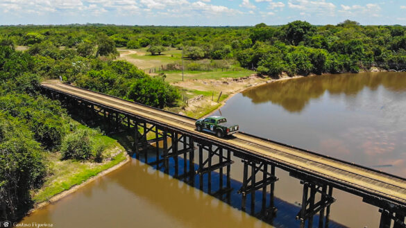 SOS PANTANAL PSA Pantanal: entenda tudo sobre o programa que vai recompensar quem preserva o bioma