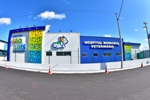 Anclivepa denuncia atrasos salariais, sobrecarga e mortes de animais no Hospital Veterinário de São Luís