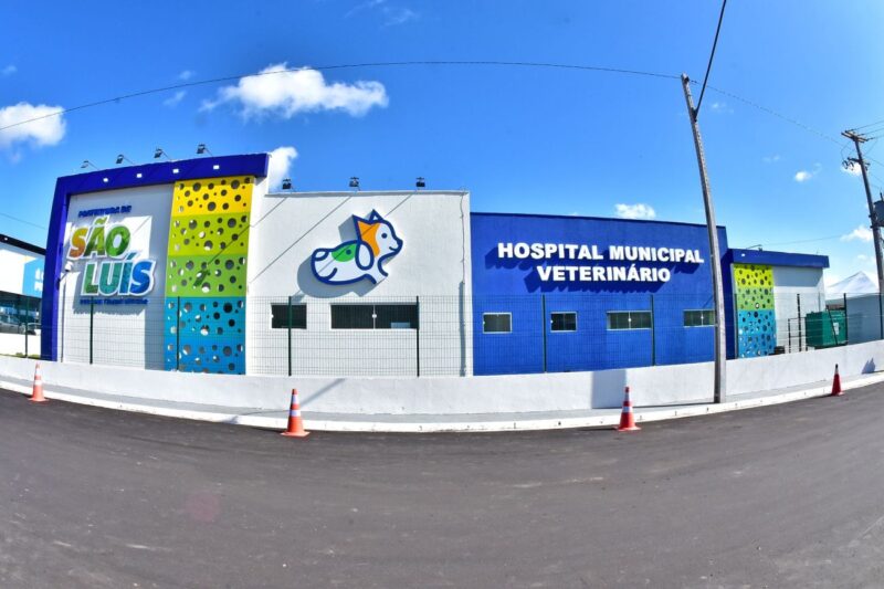 Anclivepa denuncia atrasos salariais, sobrecarga e mortes de animais no Hospital Veterinário de São Luís Anclivepa denuncia atrasos salariais, sobrecarga e mortes de animais no Hospital Veterinário de São Luís