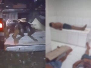 CHACINA: Pai e dois filhos são executados a tiros dentro de casa em Vargem Grande – Portal do Sampaio