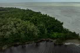 Fundo Clima em disputa, Foz do Amazonas de volta ao foco e o próximo CNPE