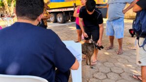 Prefeitura leva atendimento gratuito para cães e gatos com novo projeto de combate às zoonoses