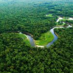 Com Lula, Amazônia registra o menor desmatamento em 41 anos