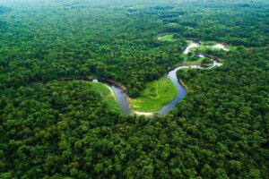 Com Lula, Amazônia registra o menor desmatamento em 41 anos
