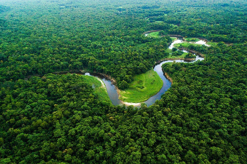 Com Lula, Amazônia registra o menor desmatamento em 41 anos