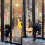Vídeo mostra lojas sendo saqueadas e vitrines destruídas em Milão durante onda de prostestos na Itália